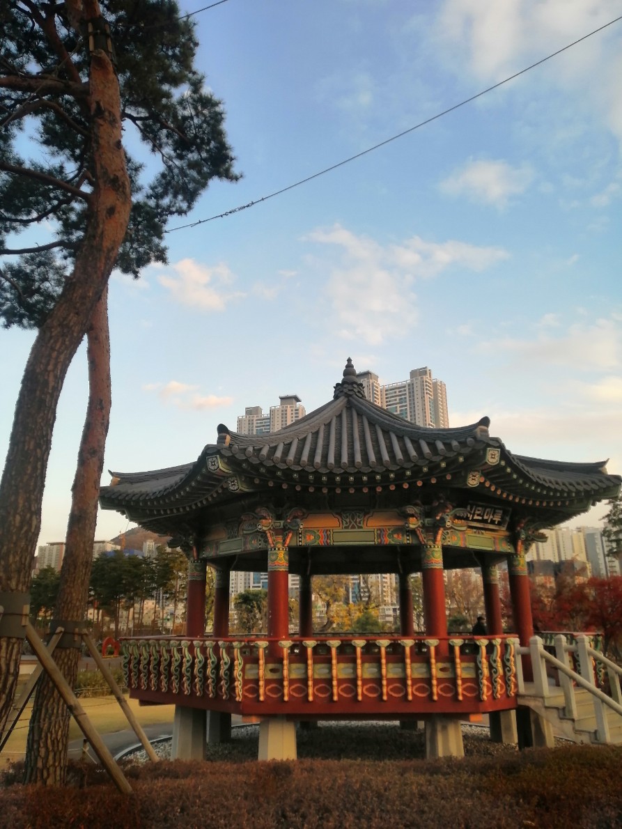 Busan Citizens Park - BTS V Photo Spot