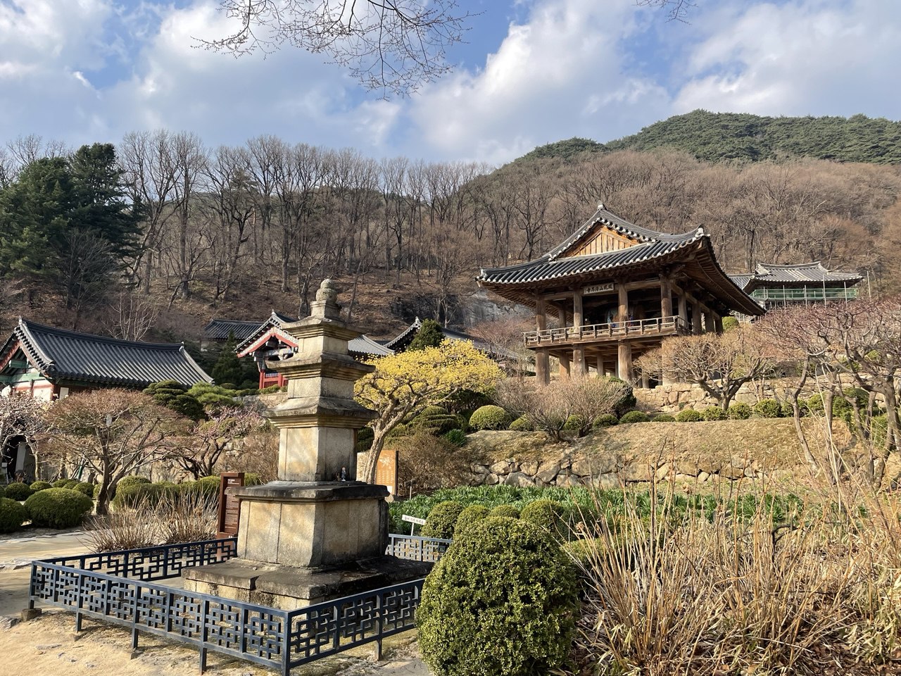 An amazing trip to Yeongju