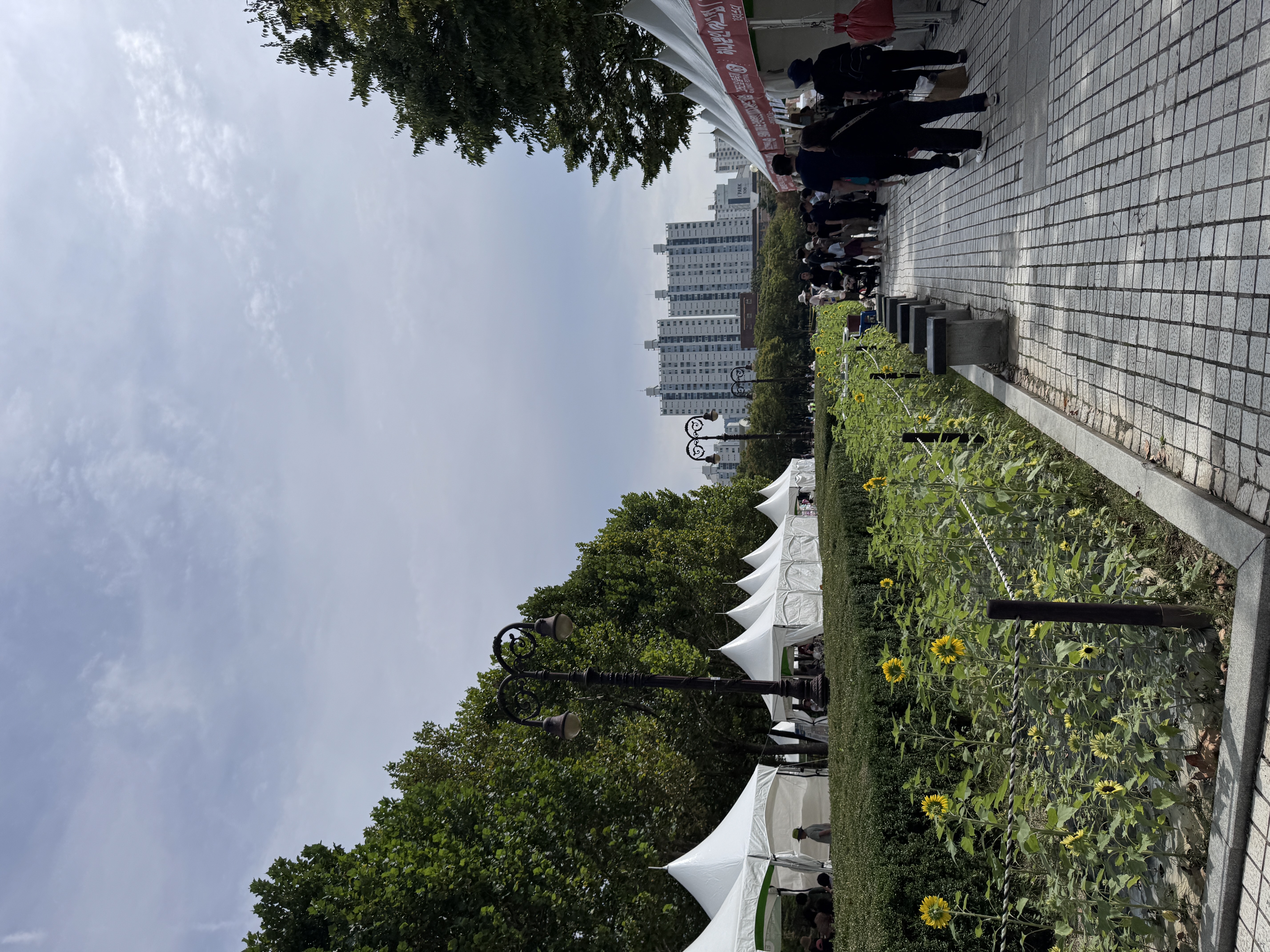 Anyang Dance Festival Review 