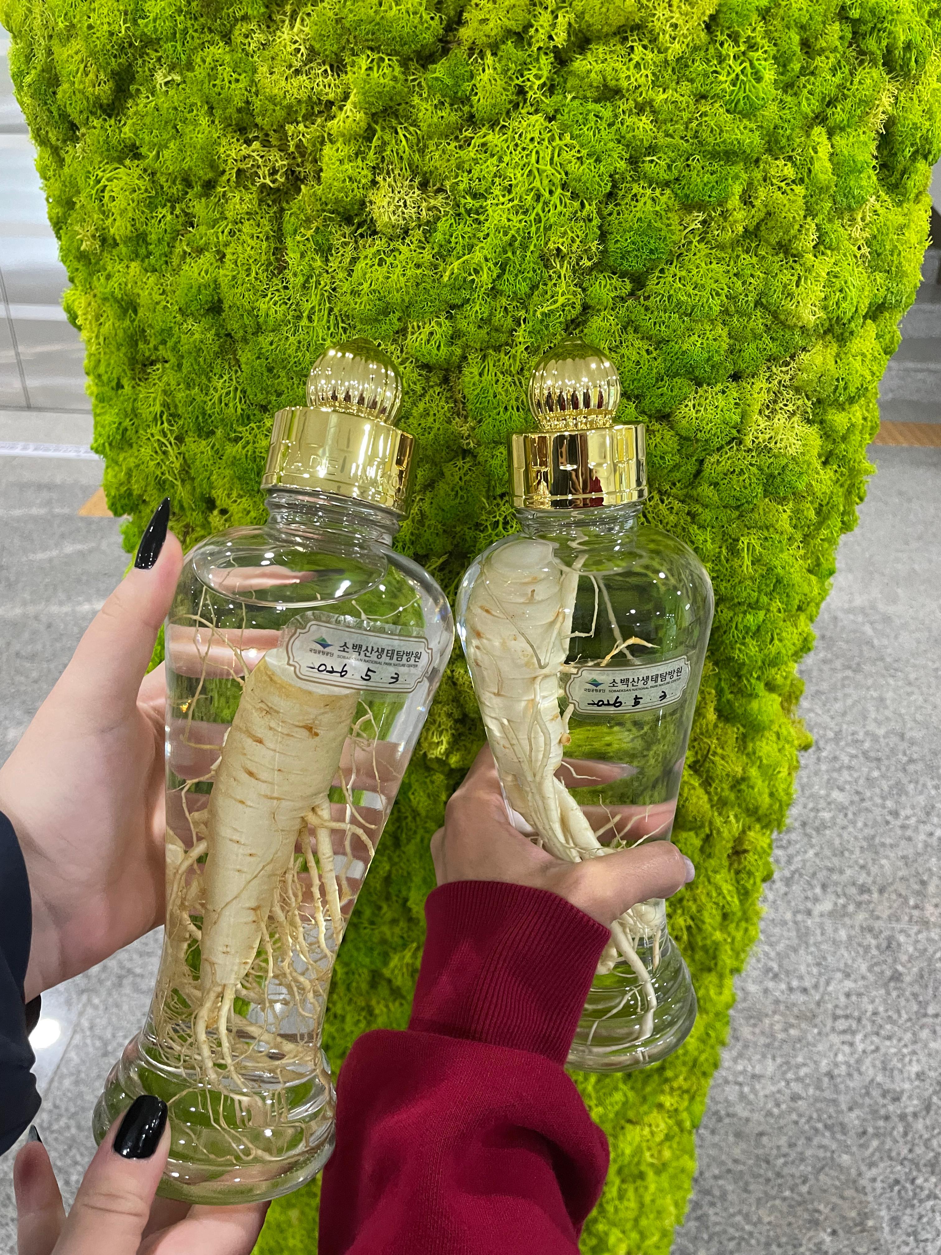 영주 weekend trip