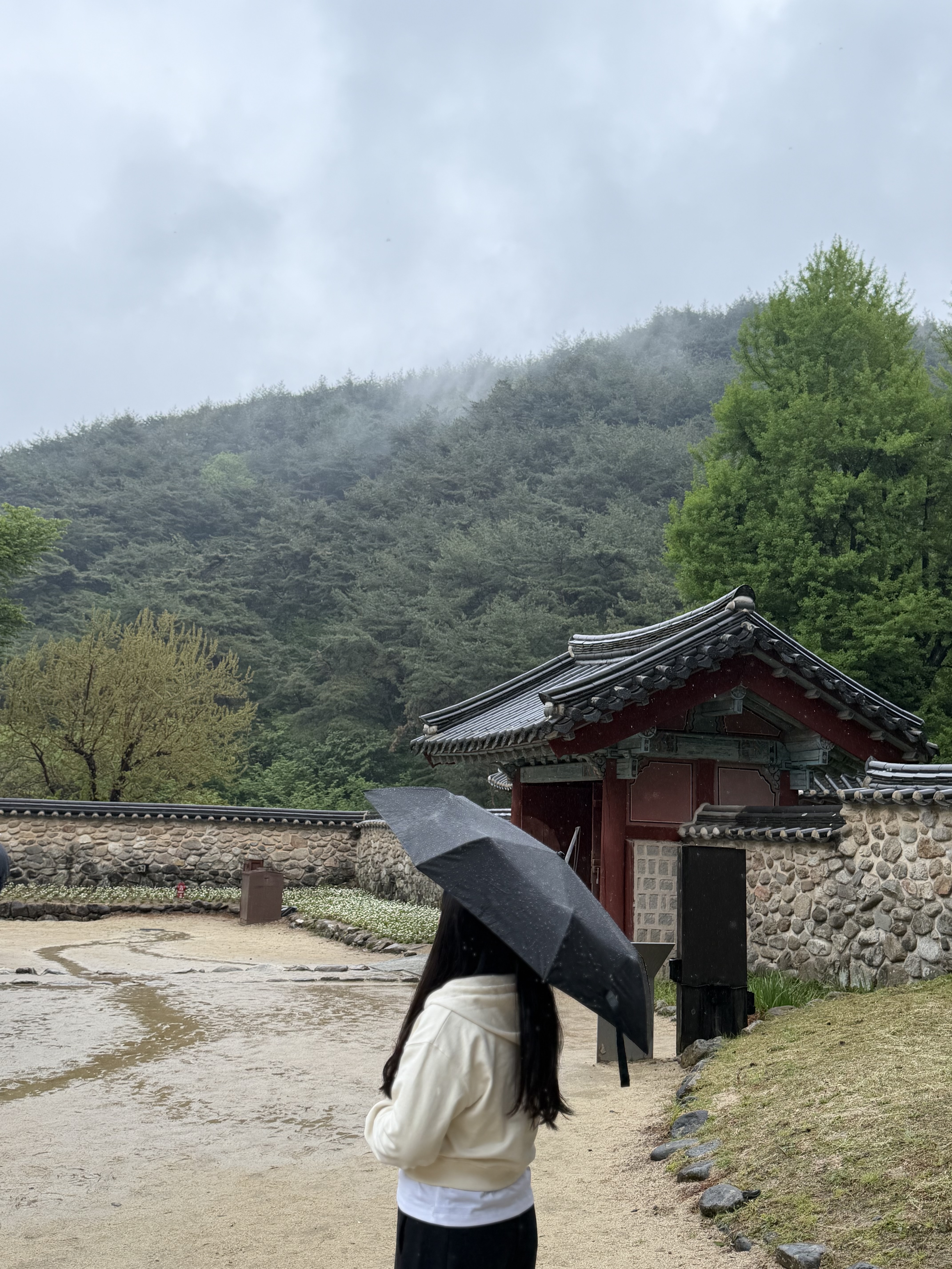 Yeongju trip