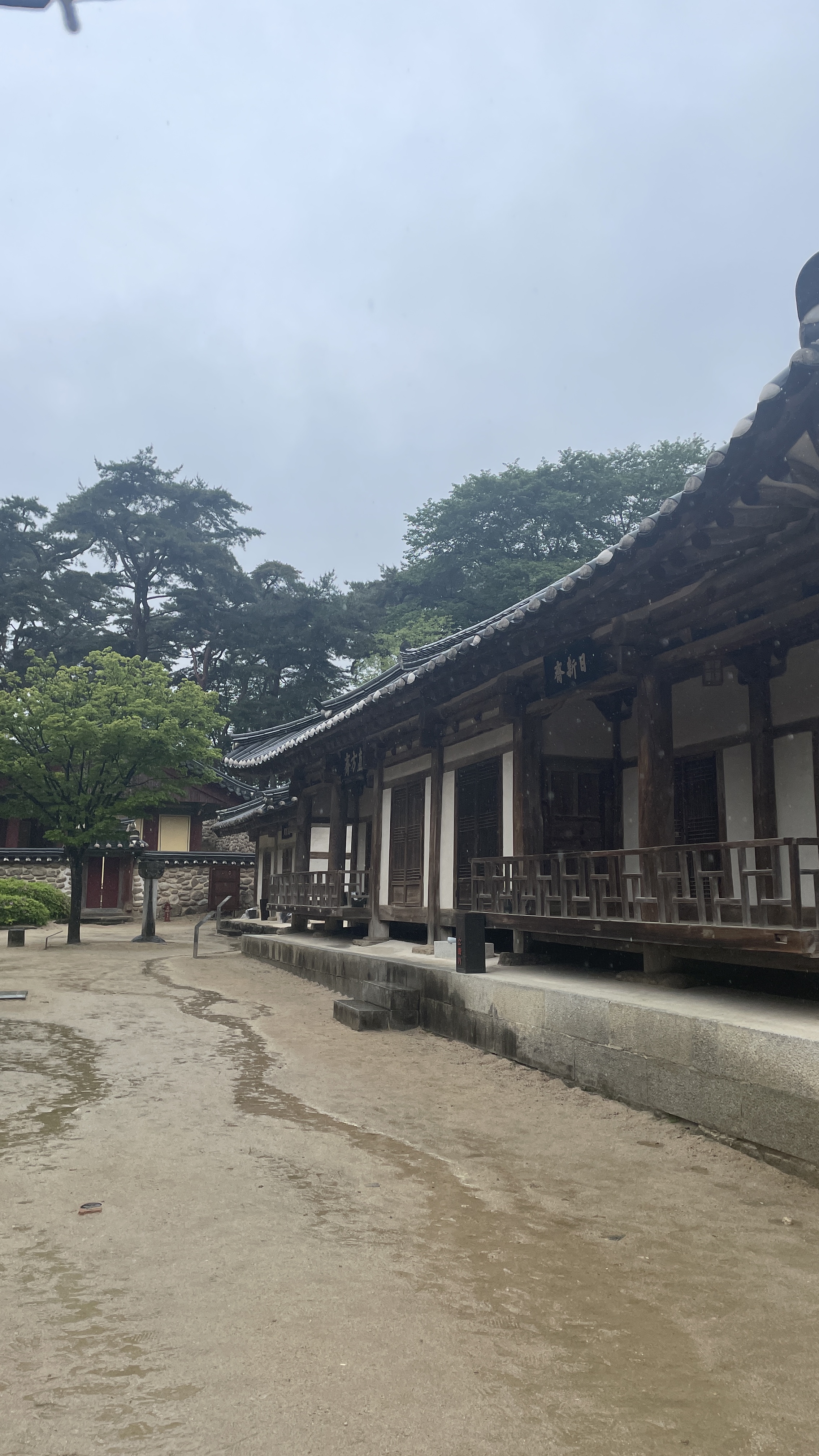 Healing escape to Yeongju 